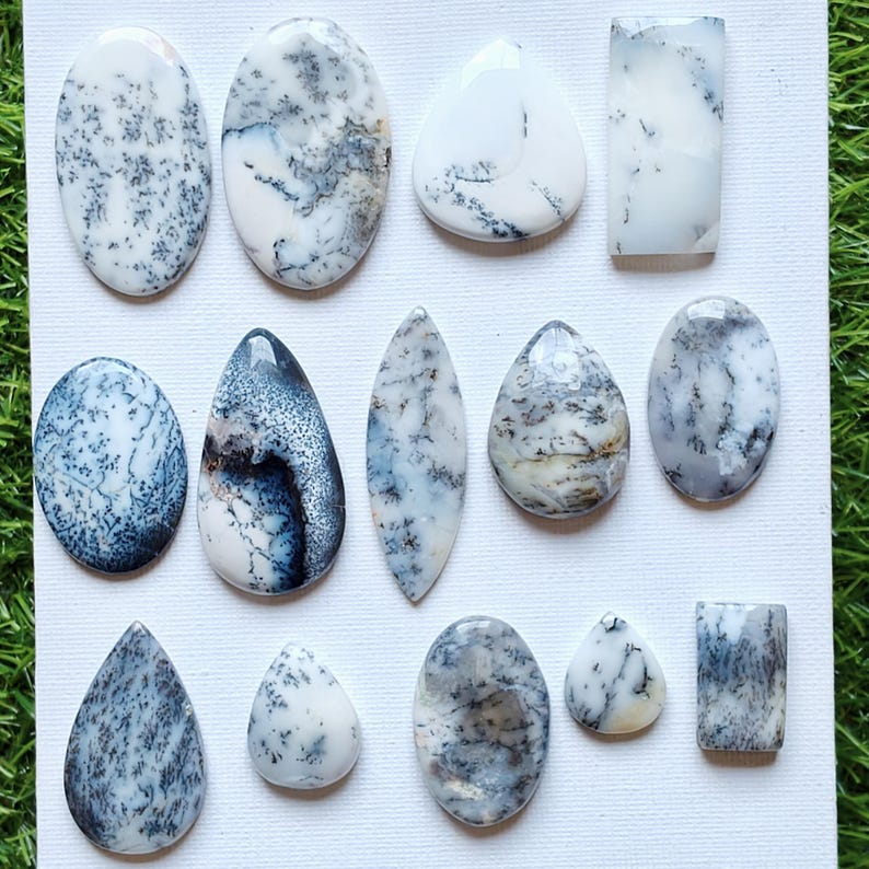 May include: A collection of thirteen polished dendritic opal cabochons arranged in three rows. Each stone features a smooth, rounded or geometric shape with a white base color and intricate, dark gray to black fern-like inclusions throughout.