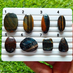 May include: Eight polished tiger's eye gemstones arranged on a white grooved display tray. The stones vary in shape, including ovals, a teardrop, and a rectangle, featuring chatoyant bands of golden-brown, deep blue, and dark brown colors.