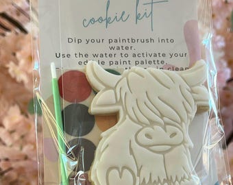 Highland cow paint your own cookie, party bag, cookies, postal gift.