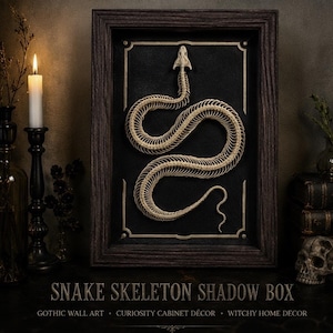Framed Snake Skeleton Shadow Box | Gothic Curiosity Cabinet Wall Art