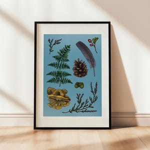 Può includere: Una stampa botanica incorniciata con illustrazioni di felce, pigna, piuma, bacche e funghi su sfondo azzurro. L'opera è in una cornice nera e poggia su un pavimento in legno.
