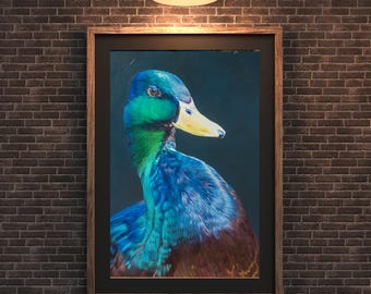 Mallard Drake Portrait · Original Acrylic Painting · Iridescent Duck Wildlife Art