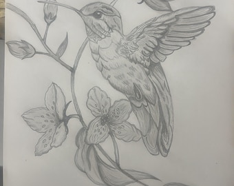 Original Hummingbird and Floral Pencil Sketch Art