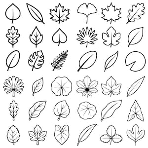 May include: A collection of thirty-six distinct black and white line art icons depicting various leaf shapes. The grid layout features a variety of botanical silhouettes, including maple, oak, palm, and fern leaves, rendered in a clean, minimalist style.