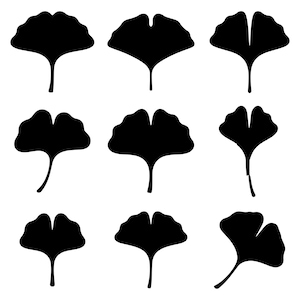 May include: A collection of nine black silhouettes of ginkgo biloba leaves arranged in a three-by-three grid. Each leaf features the distinct fan-shaped blade with a central notch and a slender stem, presented in a solid black color against a white background.