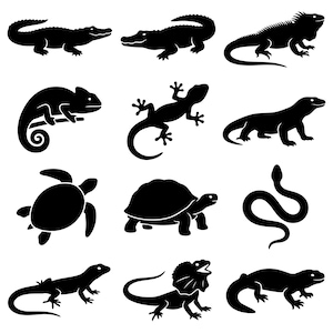 May include: A collection of twelve black silhouettes depicting various reptiles and amphibians, including crocodiles, iguanas, chameleons, lizards, turtles, and a snake, arranged in a grid pattern against a plain white background.