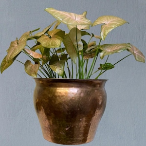 Duża donica z kutego brązu – metalowa donica MCM India, dekoracja ogrodowa w stylu boho chic