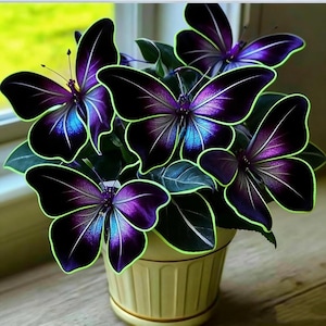 May include: A potted plant featuring multiple dark purple and blue butterfly-shaped flowers. Each petal has a distinct bright lime green outline and fine white veining. The plant is housed in a simple, light yellow ceramic pot with vertical ridges.