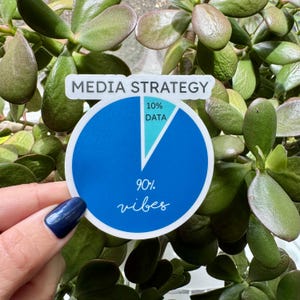 May include: A round sticker with a blue pie chart, labeled "MEDIA STRATEGY." The chart is divided into two sections: 10% "DATA" in light blue and 90% "vibes" in a darker blue. The sticker is surrounded by green leaves.