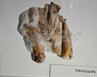Frozen cowhide/bovine hide/cow skin