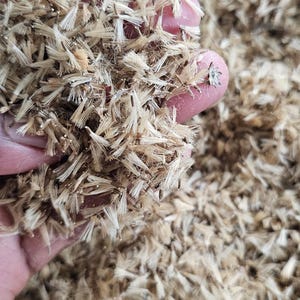 May include: Close-up of a handful of dried, light brown plant material, possibly seeds or flower parts. The texture is feathery and delicate, with many small, thin strands. The background is a similar pile of the same material.