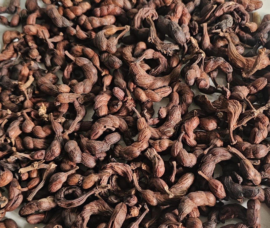 Organic Negro Pepper (botanical Name: Xylopia Aethiopica), Uda, Grains ...