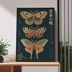 May include: A framed vertical wall art print on a dark blue background featuring three distinct moth species with detailed wings in shades of yellow, orange, and green. The print includes Japanese text, English labels, and botanical illustrations.