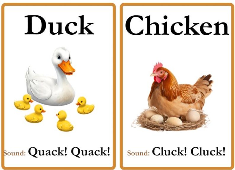 Animal Classifications Flashcards for Your Kids. - Etsy