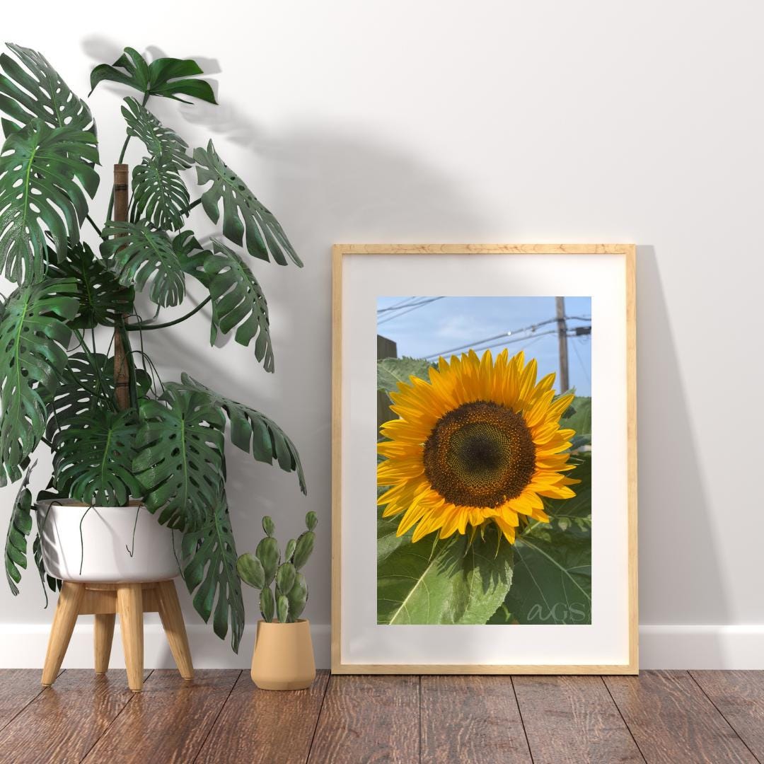 Sunflower Photography Print | Nature Wall Art | Garden Decor (digital ...