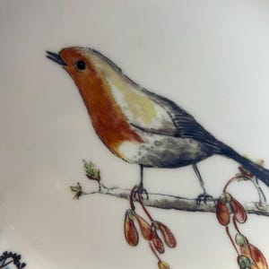Peut inclure: Une assiette en c&eacute;ramique blanche avec une illustration d&eacute;taill&eacute;e d'un rouge-gorge perch&eacute; sur une branche avec des gousses de graines. L'oiseau a des plumes orange, blanches et grises. L'assiette a une bordure florale bleue et noire.