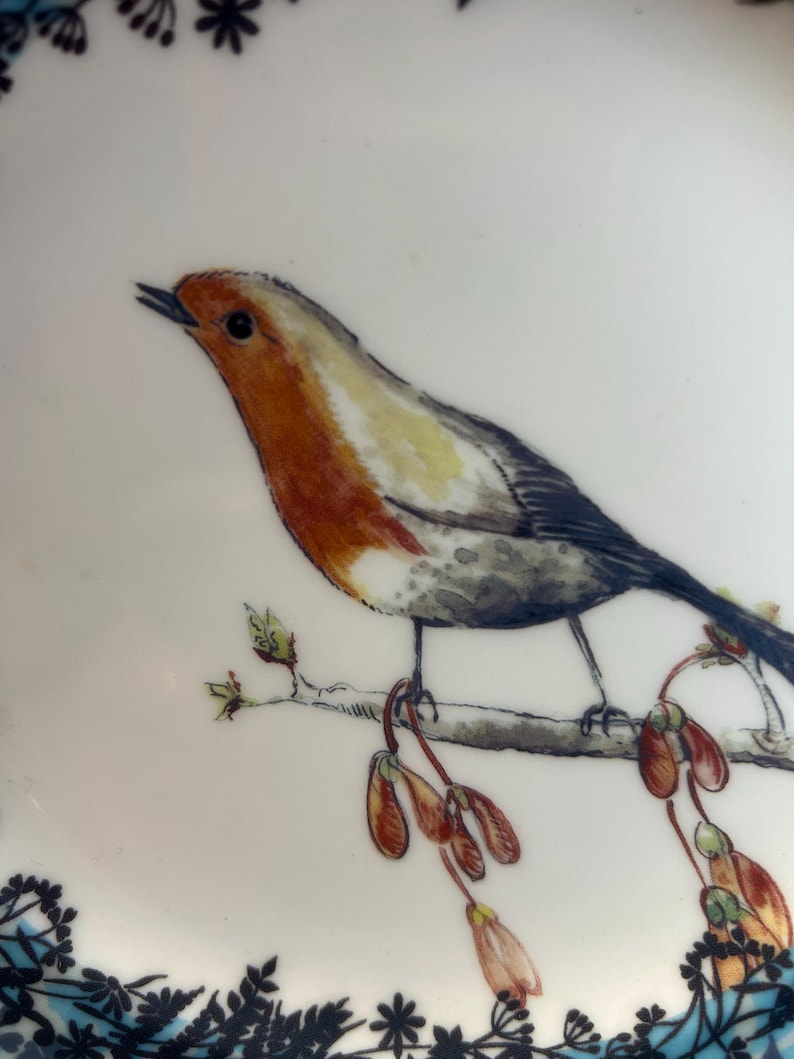 Peut inclure: Une assiette en c&eacute;ramique blanche avec une illustration d&eacute;taill&eacute;e d'un rouge-gorge perch&eacute; sur une branche avec des gousses de graines. L'oiseau a des plumes orange, blanches et grises. L'assiette a une bordure florale bleue et noire.