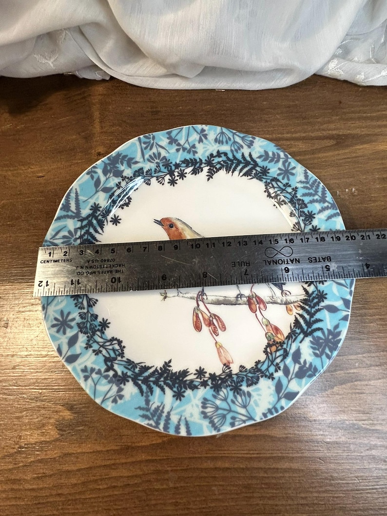 Peut inclure: Une assiette d&eacute;corative en c&eacute;ramique avec un motif d'oiseau et de fleurs. L'assiette a un centre blanc avec une illustration d'oiseau et une bordure florale bleue et blanche. L'assiette mesure environ 20 cm de diam&egrave;tre.