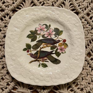 Vintage Alfred Meakin Band-Tailed Pigeon Plate | Audubon Birds of America | Embossed Floral Ironstone