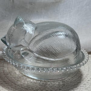 Cat in the Nest Glass - Etsy