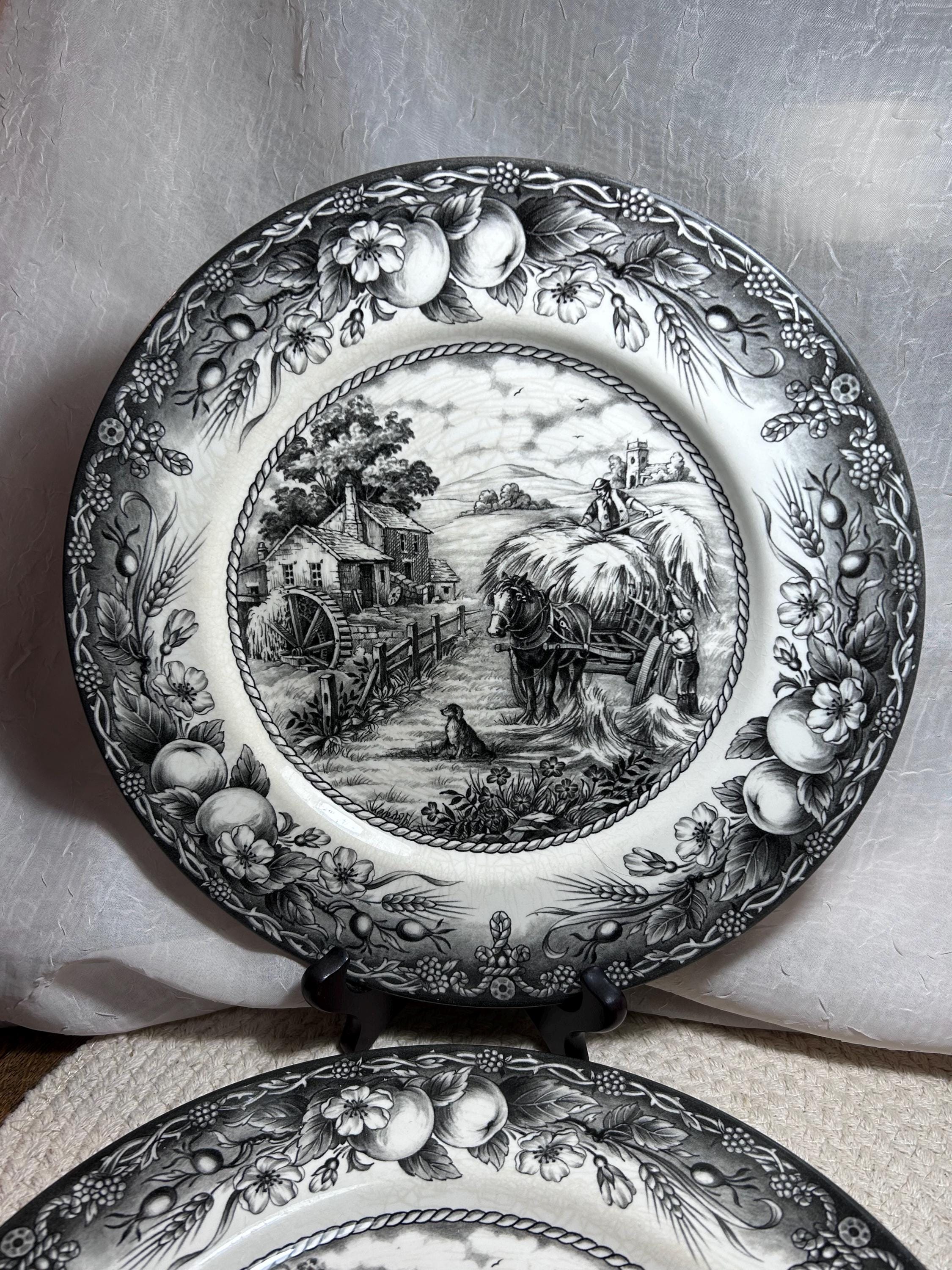 Royal Stafford Black and White - Etsy