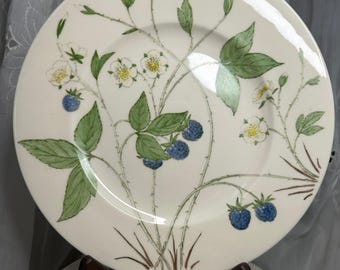 Vintage Belle Fine China Blackberry Botanical Plate | Made in Trenton USA | Wild Berry Cottagecore Plate