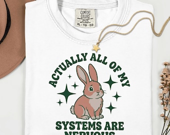 Camiseta con el mensaje "Sistema nervioso sobreestimulado": un divertido meme, regalo para amigos ansiosos.