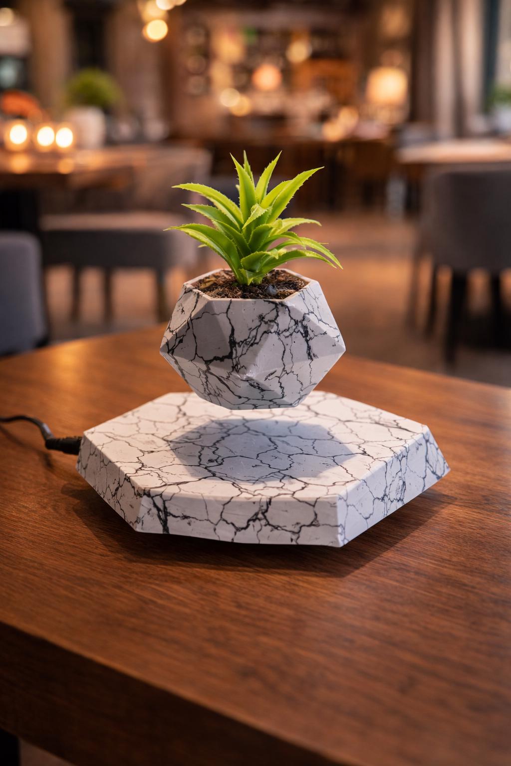 Levitating Bonsai - Etsy