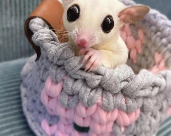 Basket for Sugar-gliders and small pets