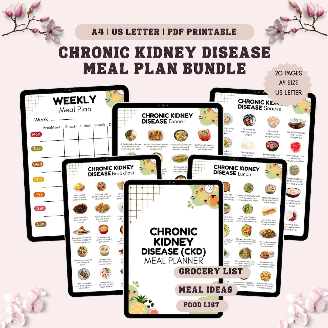 Chronic Kidney Disease Meal Plan Bundle, Weekly Plan Monthly Plan, Food ...