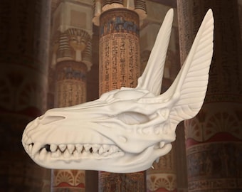 Cráneo de Anubis de colección – Réplica de la mitología egipcia