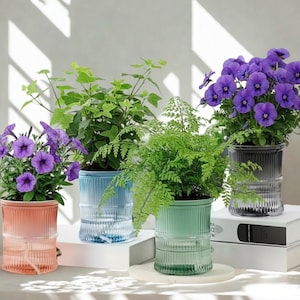 Self Watering Plant Pot Hydroponic Planter Transparent Indoor Flower Pot Modern Desk Plant Holder Home Office Decor