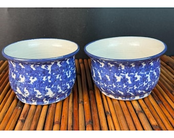 Set van 2 studio aardewerk schalen handgemaakt blauw sponsservies Apple Baker