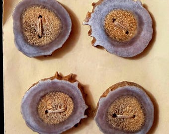 Wildlife Creations Kevin Juby Antler Buttons set van 4 handgemaakte Casper Wyoming