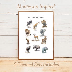 Könnte beinhalten: Ein gerahmter Druck mit Aquarellillustrationen von Safaritieren, darunter ein Zebra, eine Giraffe, ein Löwe und ein Elefant. Der Text "Safari Animals" steht über den Illustrationen, mit "Montessori Inspired" und "5 Themed Sets Included".