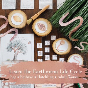 Homeschool Earthworm Nature Study | Worm Life Cycle, Soil Science, Anatomy & Observation Pack