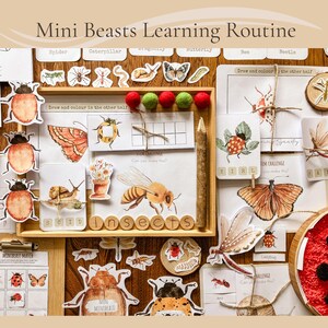 Pode incluir: Um conjunto educativo com insetos, com uma bandeja de madeira contendo recortes, cartões e letras de madeira que soletram "insetos". A imagem inclui o texto "Mini Beasts Learning Routine" e várias ilustrações de insetos.