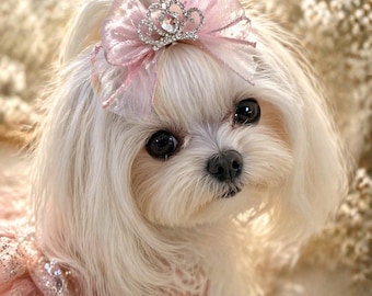 Pink Dog Hair Bow Luxury Hair Bow with Crown,Pink Princess Dog Bow, Rhinestone Dog Hair Clip, Elegant Pet Hair Accessory, Free Gift Included