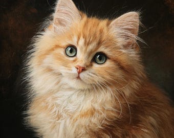 Aangepast olieverfschilderij huisdierportret van foto, handgeschilderde hond-katkunst