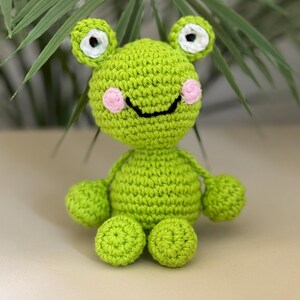 May include: A handmade, green crochet frog doll with white and black eyes, pink cheeks, and a smiling mouth. The frog has rounded limbs and is sitting upright. The background includes green leaves.