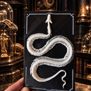 May include: A rectangular black plaque featuring a raised, white, three-dimensional snake skeleton relief. The skeletal structure is coiled in an S-shape across the center, with a thin white border framing the edges of the black panel.