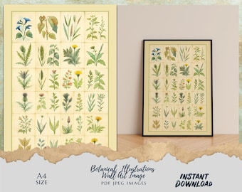 Vintage Botanical Wall Art Print A4 – Antique Plant Illustration Poster – Botanical Herb Print – Digital Download JPEG PDF Nature Wall Decor