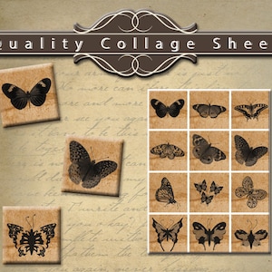 Mariposas Vintage 1,25