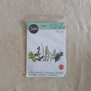 Sizzix Thinlits Sophie Guilar Hidden Leaves 9 Dies 664581 Botanical Craft Set