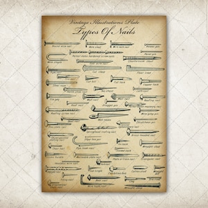 Types of Nails Chart Vintage Diy / Carpentry Digital Image ...