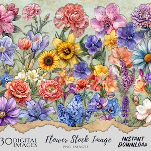 30 Flowers PNG Images, Fussy Cut Clipart, Digital Stickers for Note Apps, Junk Journals, Scrapbooking, Digital Download