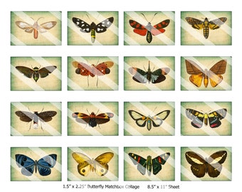 Vintage Buttefly Images Matchbox Collage Sheet, 1.5" x 2.5", 8.5" x 11" Sheet. 16 Images On One Sheet, Instant Download