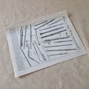 May include: A black and white illustration of various wind instruments, including a recorder, flute, clarinet, oboe, bassoon, and trumpet. The title of the illustration is "What is That Wind Instrument?"