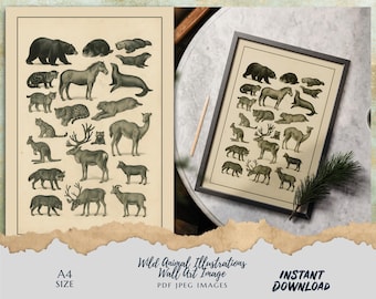 Vintage Wild Animal Illustration Printable A4 Nature Wall Art, Forest Animal Poster, Rustic Wildlife Decor, Digital Download JPEG PDF