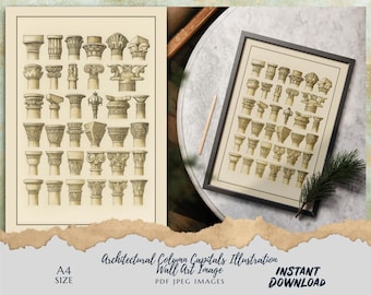 Architectural Column Capitals Illustration – Vintage Wall Art Digital Download | A4 Size | PDF & JPEG | Instant Download